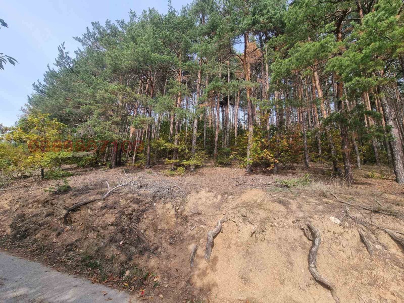 Продава КЪЩА, с. Осоица, област София област, снимка 15 - Къщи - 52572435