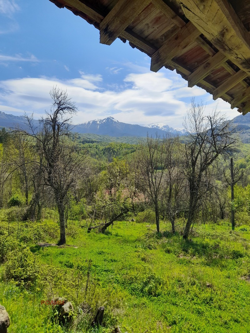 À vendre  Parcelle région de Gabrovo , Kravenik , 890 m² | 89958369 - image [3]