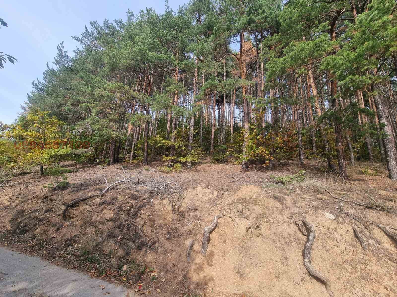 Продава КЪЩА, с. Осоица, област София област, снимка 15 - Къщи - 54286840