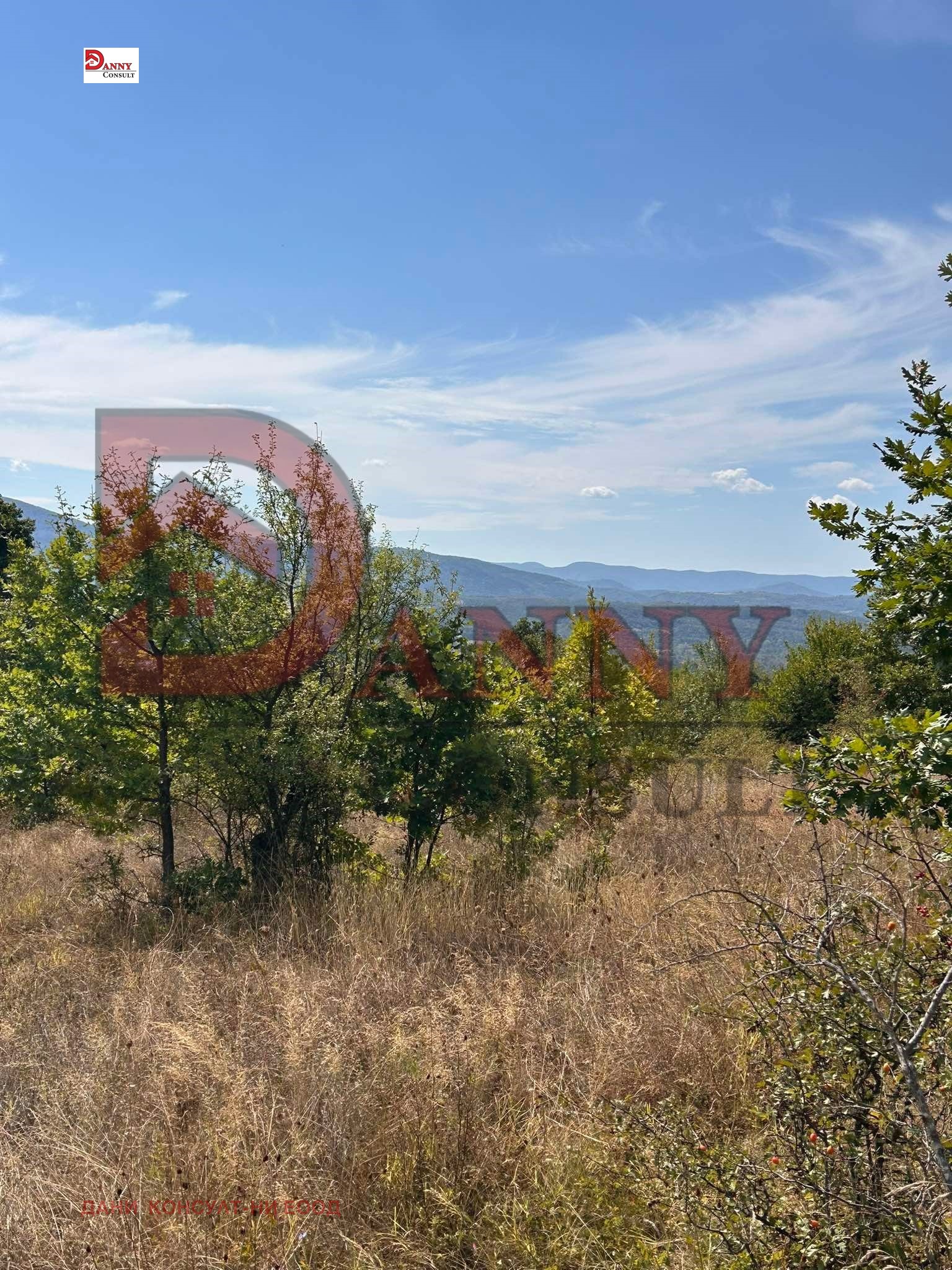 Продава ПАРЦЕЛ, с. Попрусевци, област Велико Търново, снимка 5 - Парцели - 56161595