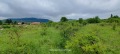 Продава ПАРЦЕЛ, гр. София, с. Мало Бучино, снимка 3