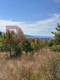 Продава ПАРЦЕЛ, с. Попрусевци, област Велико Търново, снимка 5