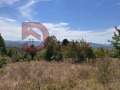 Продава  Парцел област Велико Търново , с. Попрусевци , 950 кв.м | 29053453 - изображение [2]