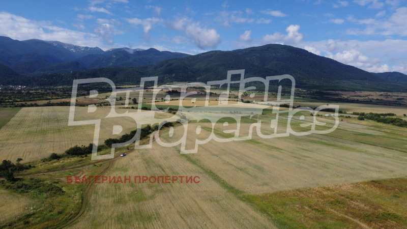 For Sale  Plot region Sofia , Kostenets , 11934 sq.m | 81357167 - image [3]