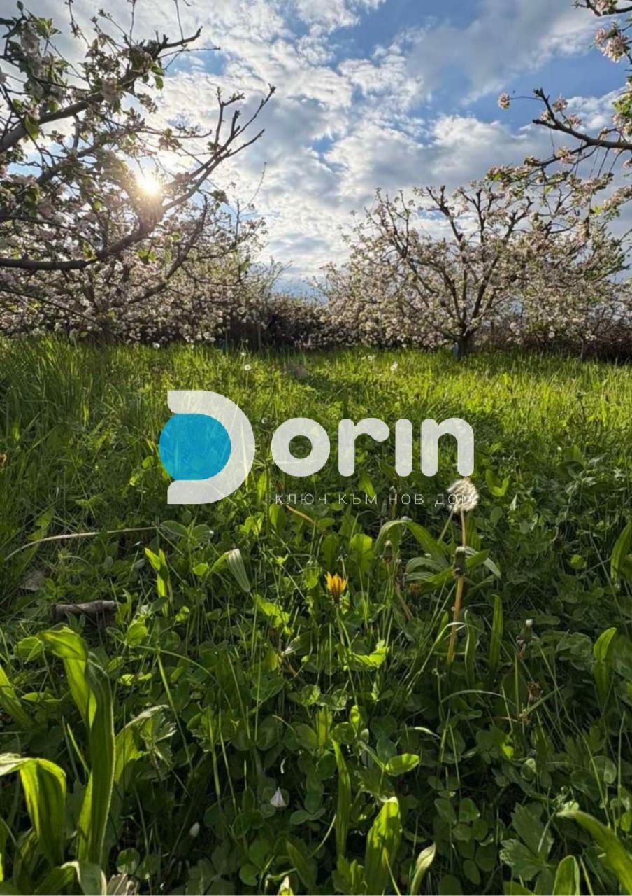 ������� ������ | Imot.bg � ����������� 1