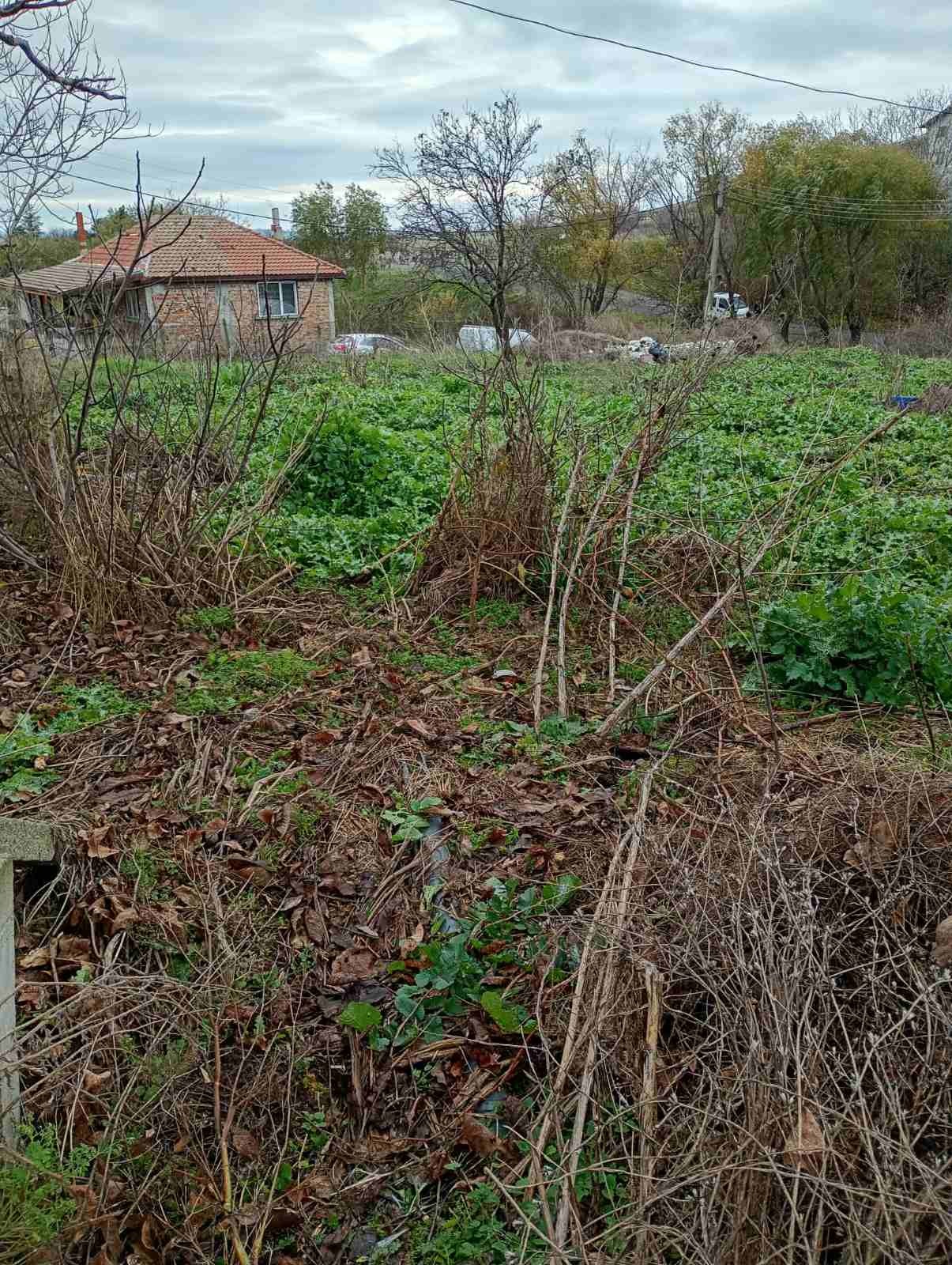 ������� ������ | Imot.bg � ����������� 2