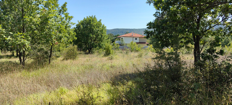 Til salgs  Plott region Burgas , Velika , 840 kvm | 91024769 - bilde [3]
