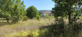 Продава ПАРЦЕЛ, област Бургас, с. Велика • 50000 € • 75019212 — Holmes.bg