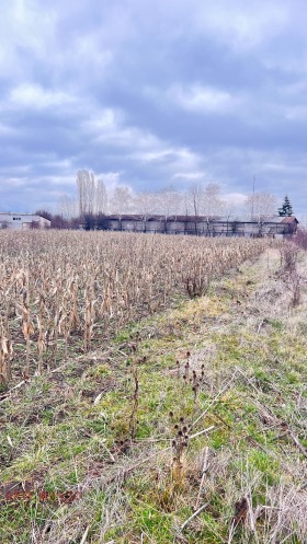 ����� ������� ������,���� �����, �������