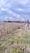 Продава ПАРЦЕЛ, гр. София, Илиянци, снимка 2