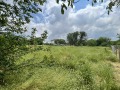 Продава ПАРЦЕЛ, с. Аврен, област Варна, снимка 2
