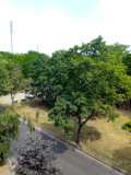 Продава 2-СТАЕН, град София, Център • 300000 € • 18055396 — Holmes.bg