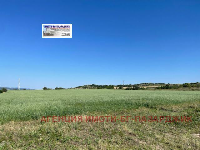 For Sale  House region Pazardzhik , Svoboda , 150 sq.m | 37308335 - image [3]