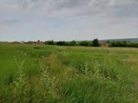 À venda Trama