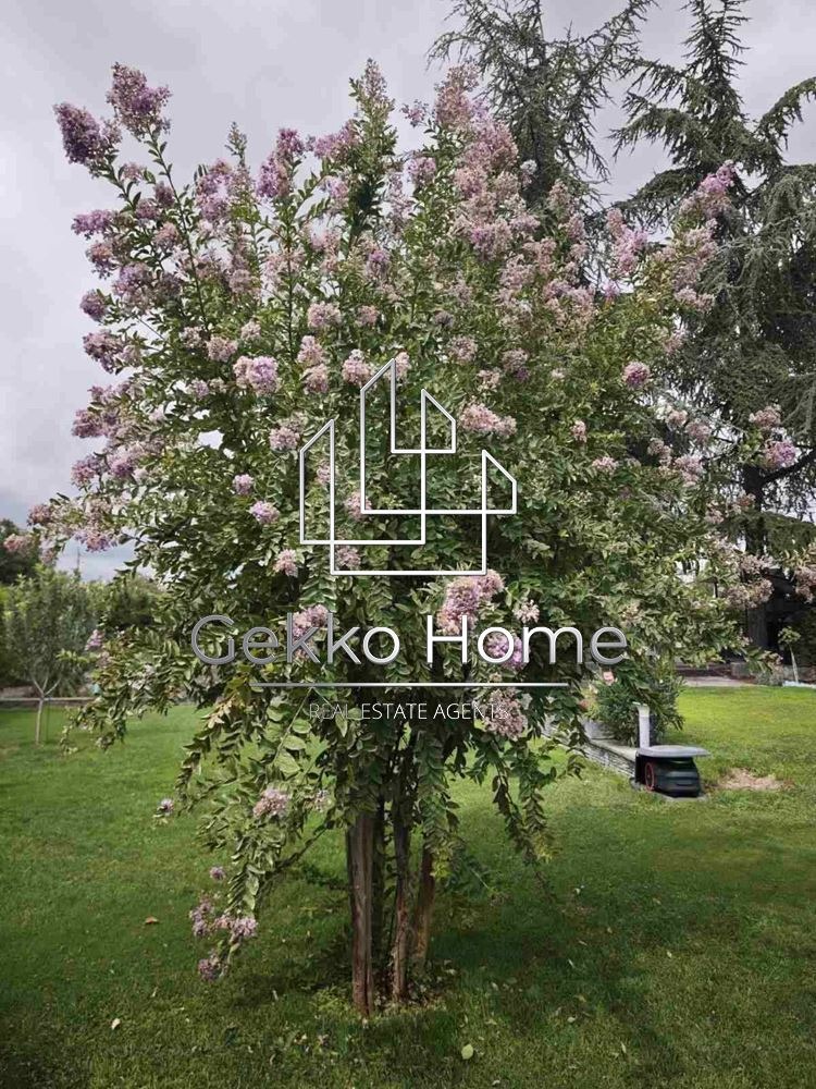 ������� ���� | Imot.bg � ����������� 17