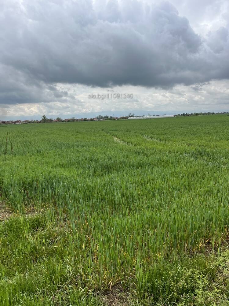 ������� ���������� ���� | Imot.bg � ����������� 4