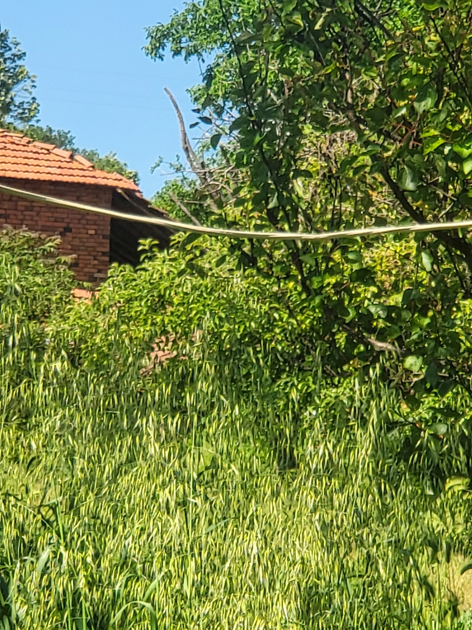 ������� ���� | Imot.bg � ����������� 5
