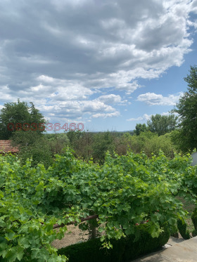 ������� ���� | Imot.bg � ����� ������ 15