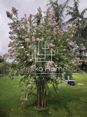 ������� ���� | Imot.bg � ����� ������ 17