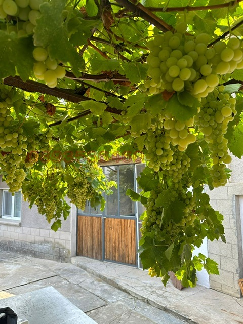 Продава КЪЩА, с. Дъбравино, област Варна, снимка 16 - Къщи - 54202569