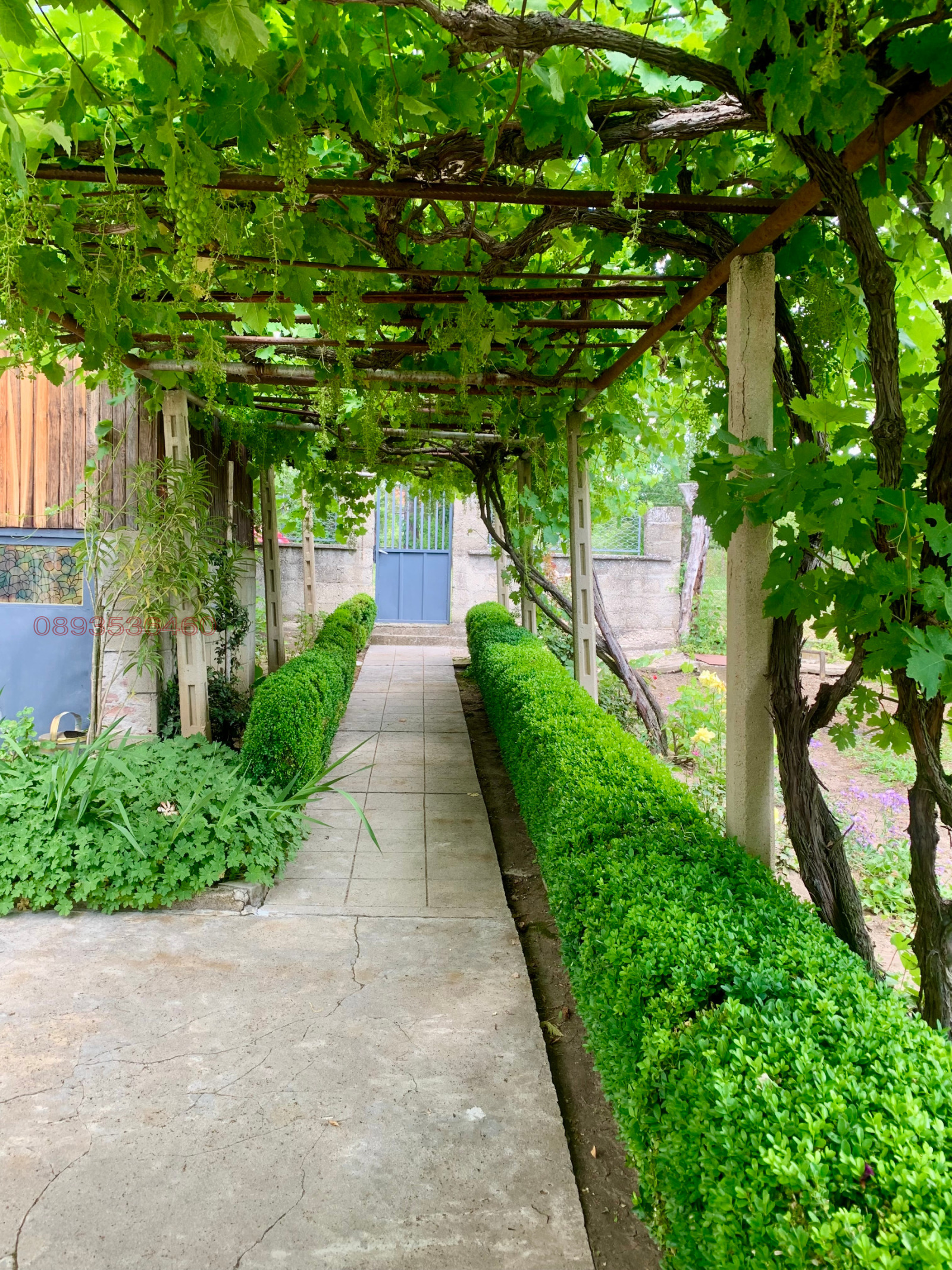 Продава КЪЩА, с. Дъбравино, област Варна, снимка 4 - Къщи - 54202569