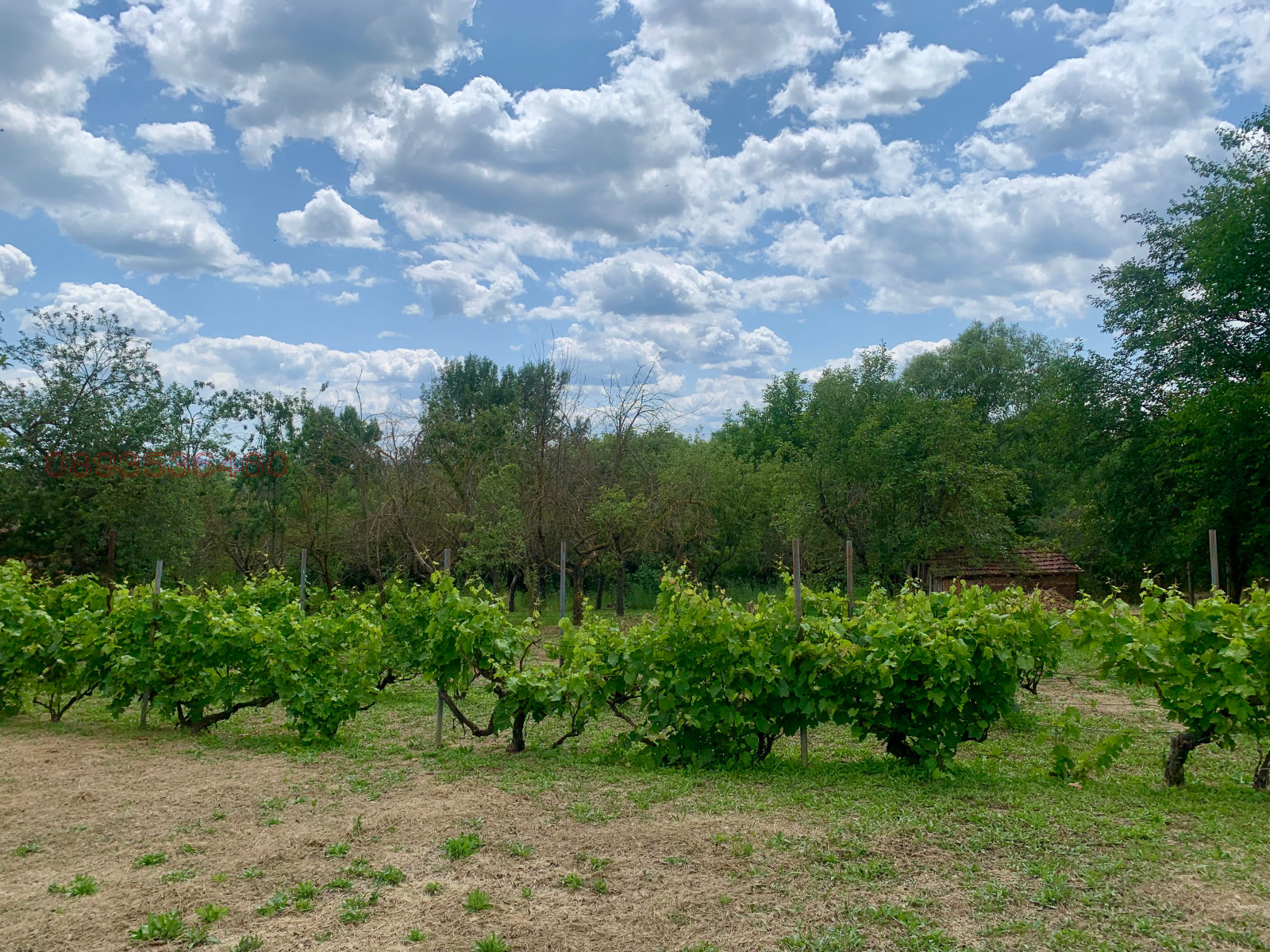 Продава КЪЩА, с. Дъбравино, област Варна, снимка 14 - Къщи - 54202569