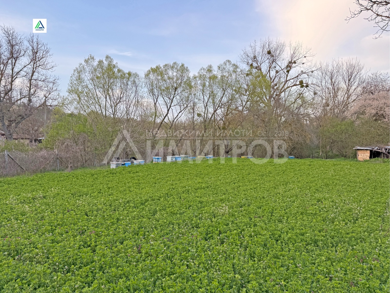 Продава КЪЩА, с. Писарево, област Шумен, снимка 5 - Къщи - 54371593