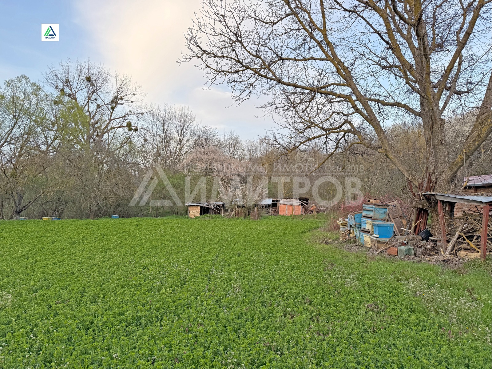 Продава КЪЩА, с. Писарево, област Шумен, снимка 4 - Къщи - 54371593