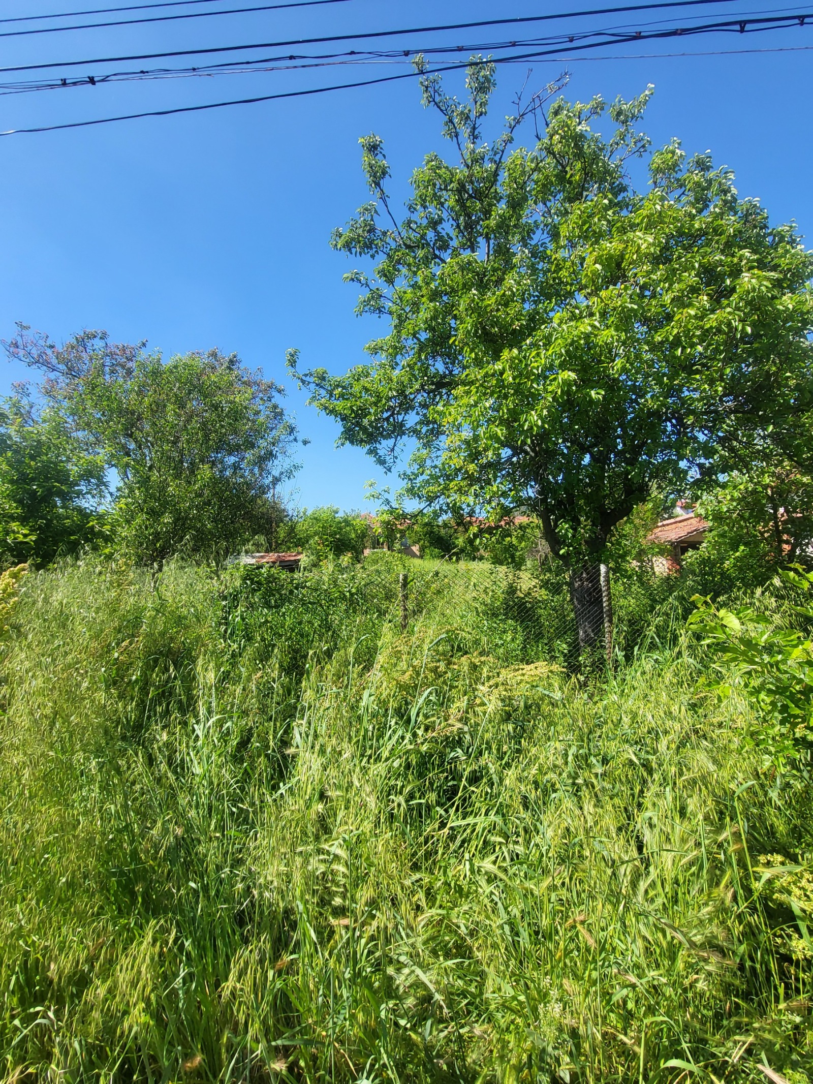 Продава КЪЩА, с. Радишево, област Плевен