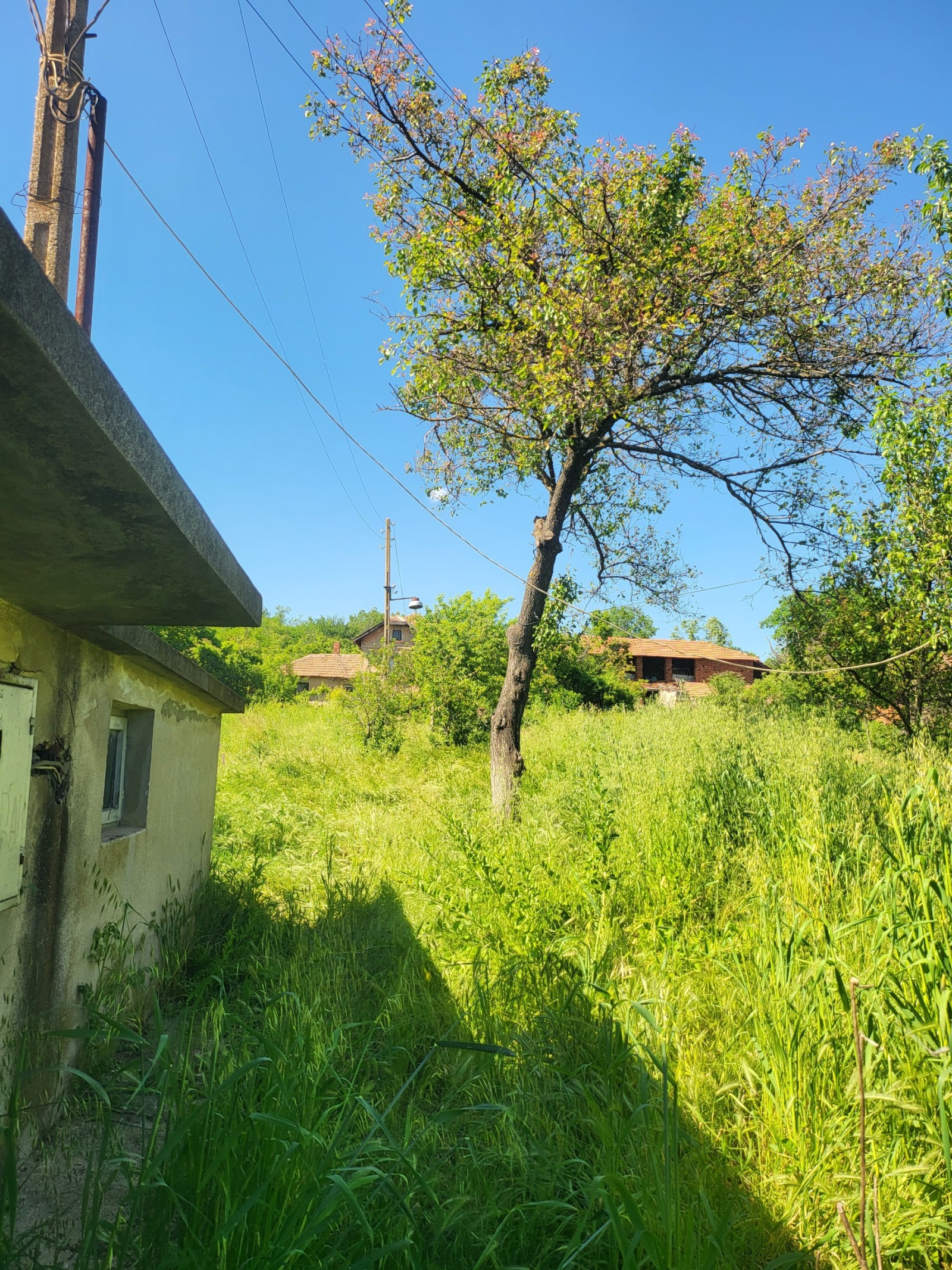 Продава КЪЩА, с. Радишево, област Плевен, снимка 11 - Къщи - 54487277