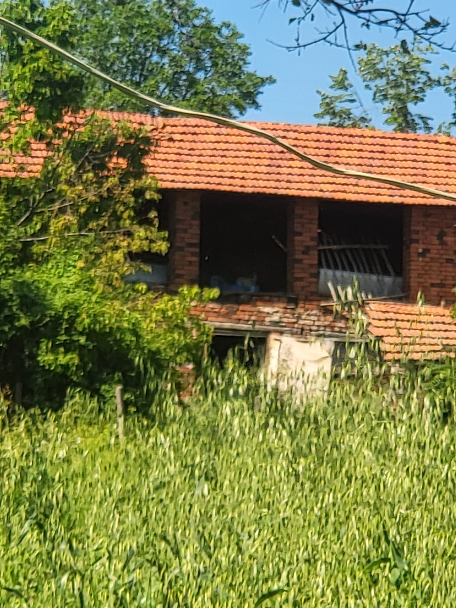 Продава КЪЩА, с. Радишево, област Плевен, снимка 6 - Къщи - 54487277