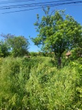 Продава КЪЩА, с. Радишево, област Плевен, снимка 1