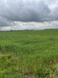 Продава ЗЕМЕДЕЛСКА ЗЕМЯ, с. Маноле, област Пловдив, снимка 4