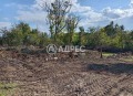 Продава ПАРЦЕЛ, област Велико Търново, с. Церова кория • 45000 € / 88012.35 лв. • 53508406 3