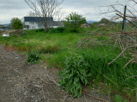 ������� ���������� ���� | Imot.bg � ����� ������ 3