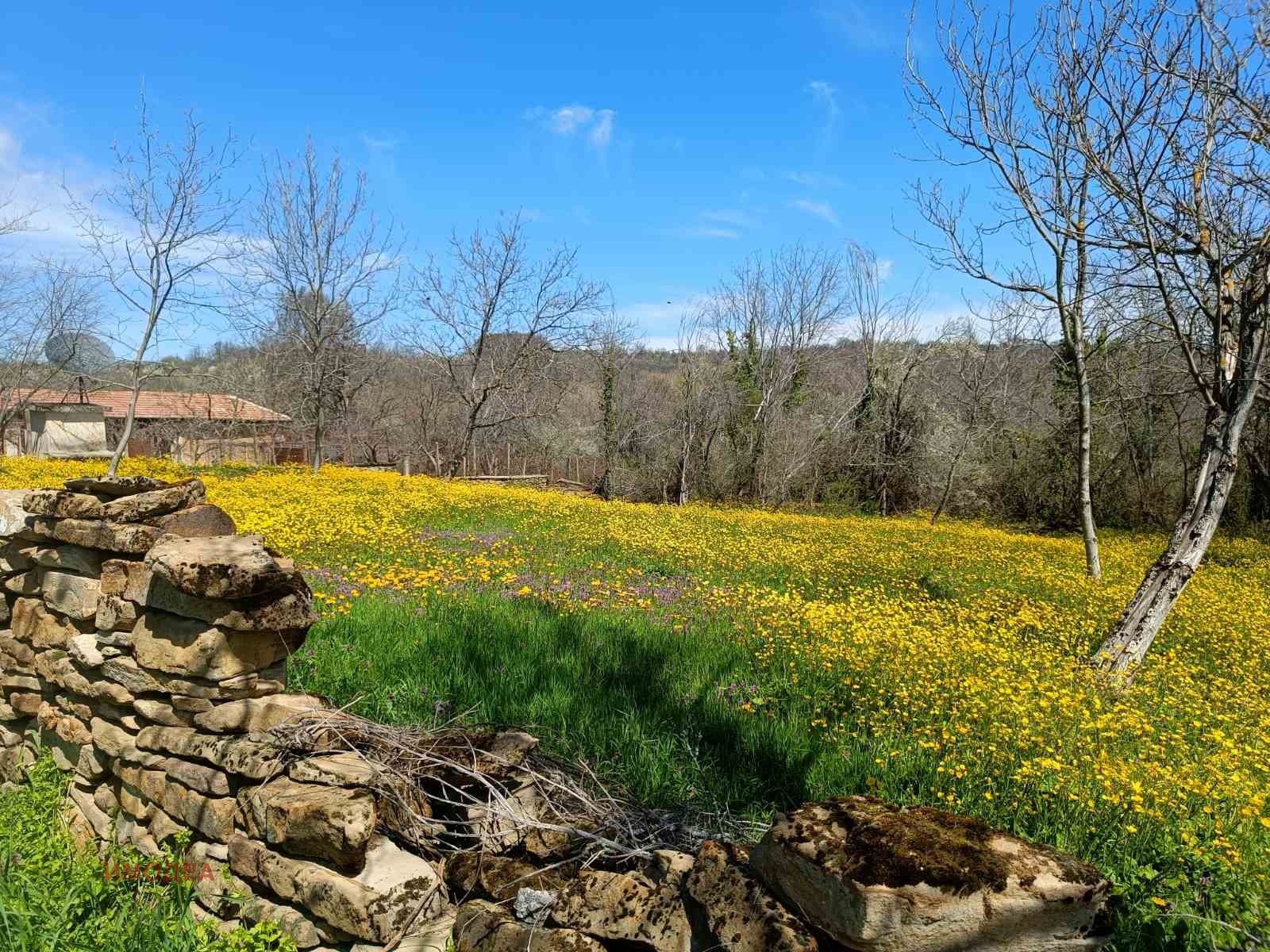 ������� ������ | Imot.bg � ����������� 1