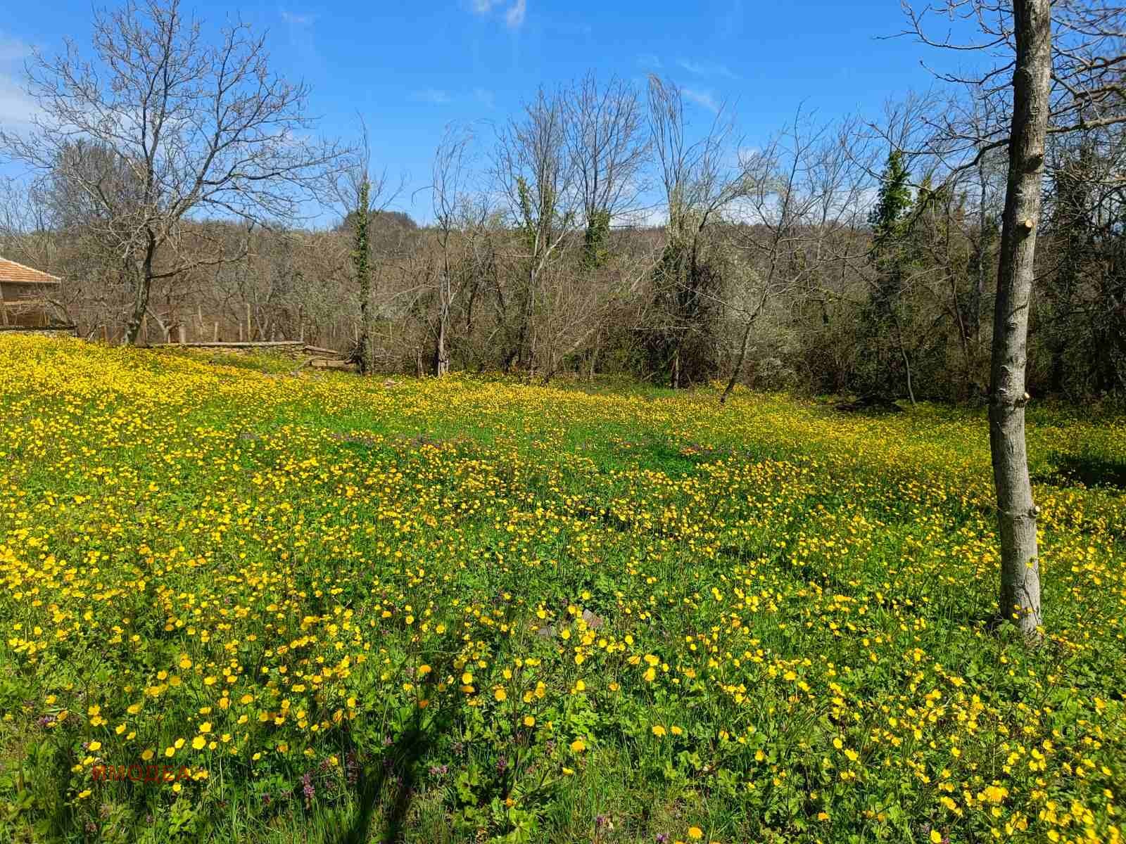 ������� ������ | Imot.bg � ����������� 2