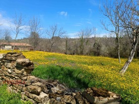 ������ ������� ������