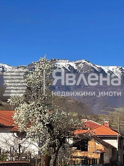 Продава ЗАВЕДЕНИЕ, с. Железна, област Монтана, снимка 15 - Заведения - 55535099