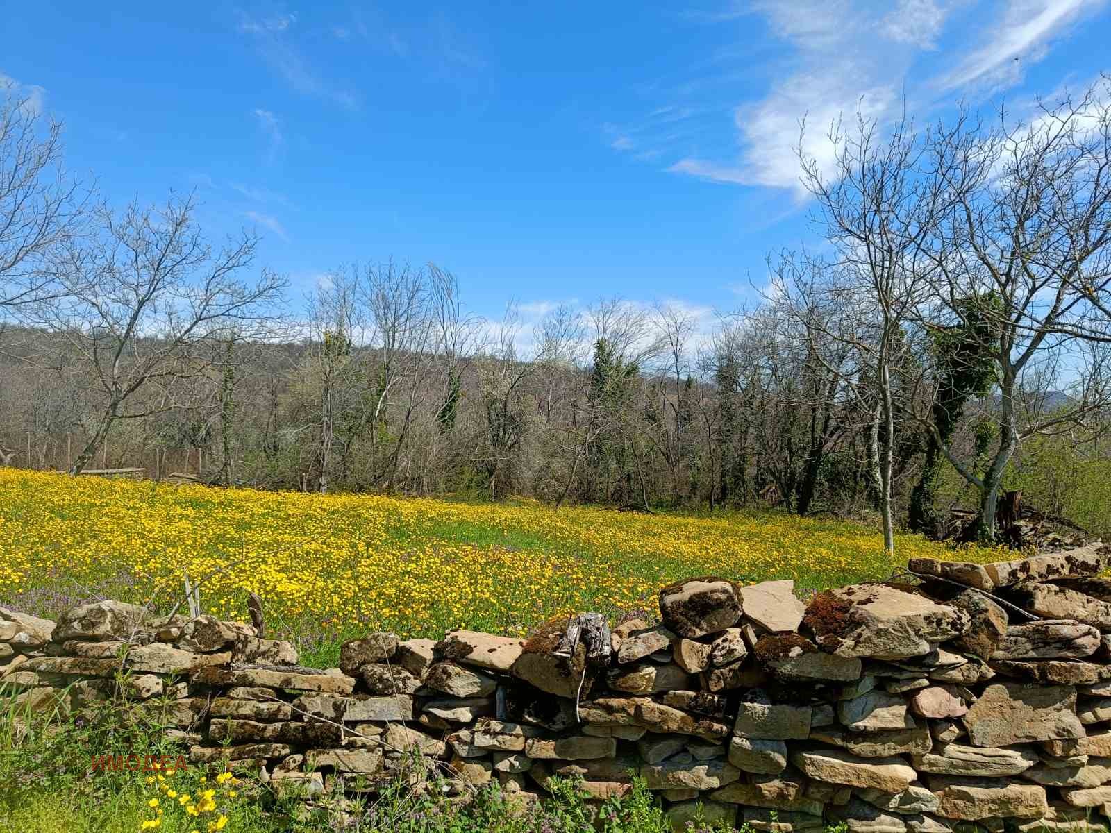 Продава ПАРЦЕЛ, с. Туркинча, област Габрово, снимка 4 - Парцели - 54213230