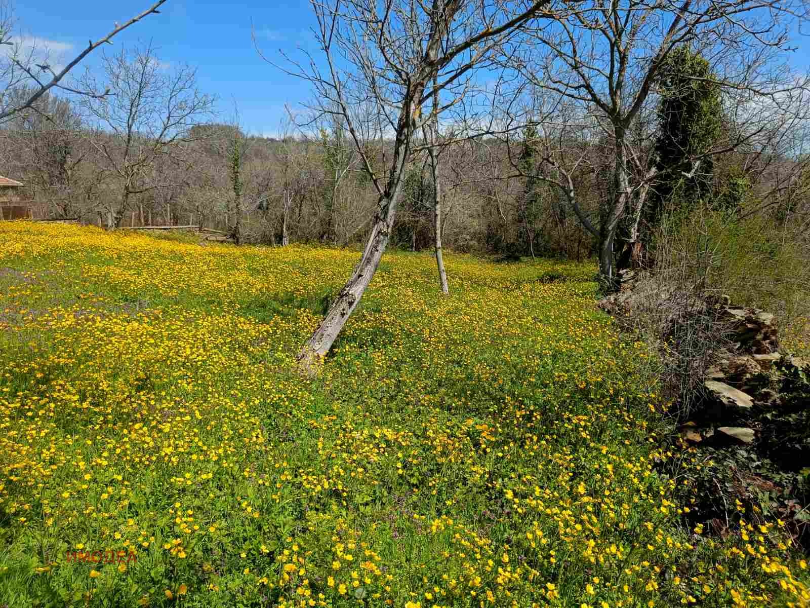 Продава ПАРЦЕЛ, с. Туркинча, област Габрово, снимка 2 - Парцели - 54213230