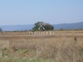Продава  Парцел област Бургас , с. Кошарица , 4212 кв.м | 61898891 - изображение [2]