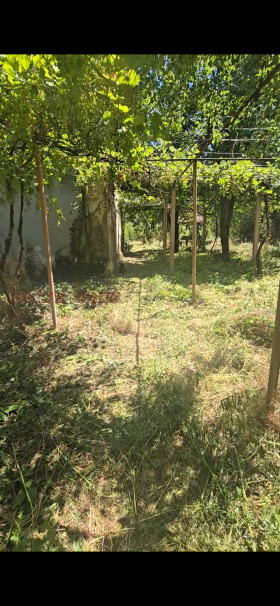 ������� 4-����� | Imot.bg � ����� ������ 5