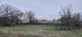 ����� ������� ������,�. �������, ������ �������