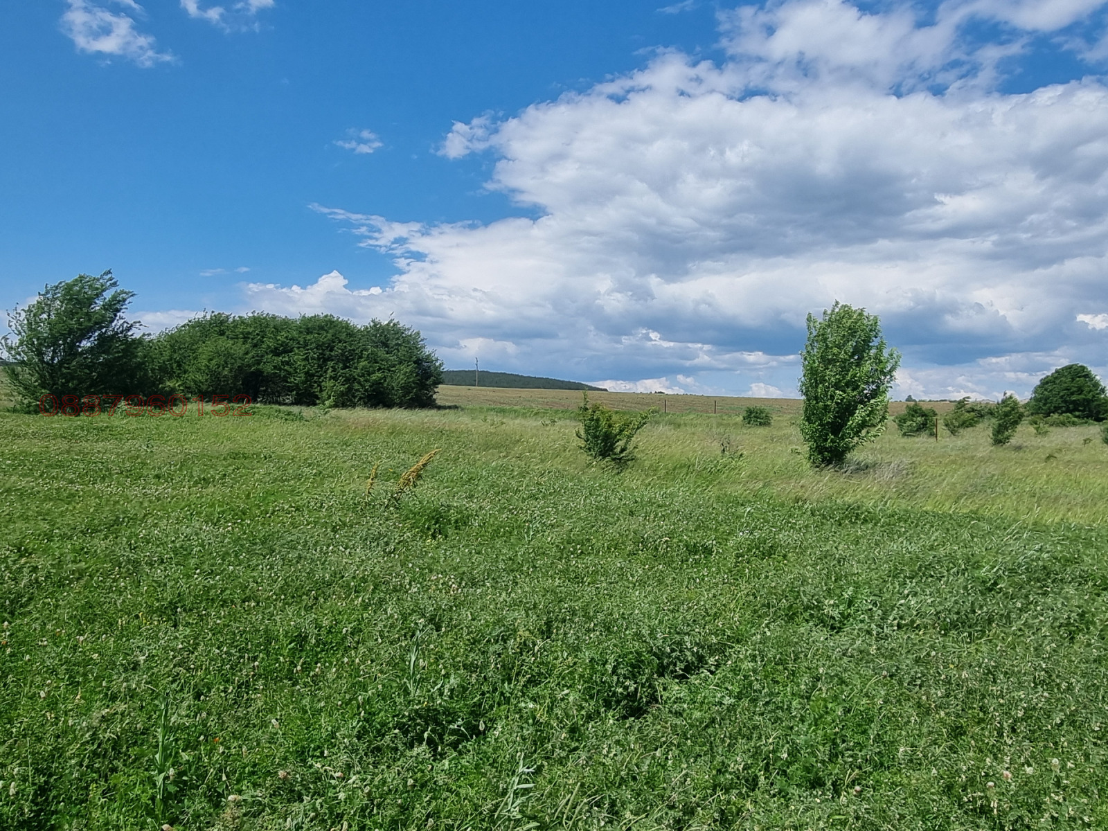 Продава ПАРЦЕЛ, с. Алдомировци, област София област, снимка 16 - Парцели - 54639968