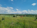 Продава ПАРЦЕЛ, с. Алдомировци, област София област, снимка 4