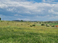 Продава ПАРЦЕЛ, с. Алдомировци, област София област, снимка 11