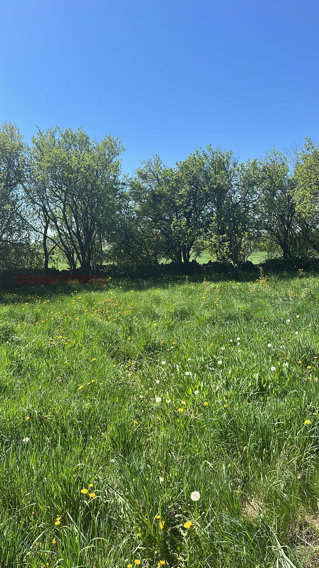 ������� ������ | Imot.bg � ����������� 5