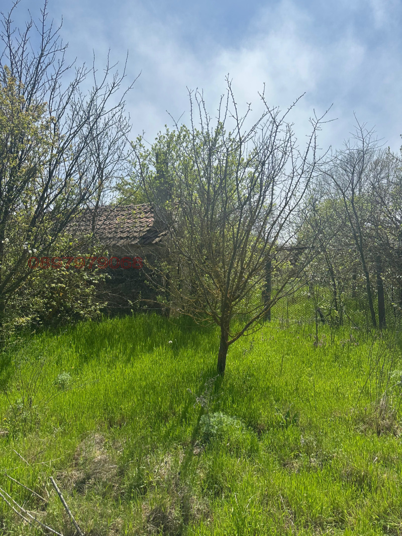 For Sale  House region Dobrich , Balgarevo , 70 sq.m | 82435784 - image [5]