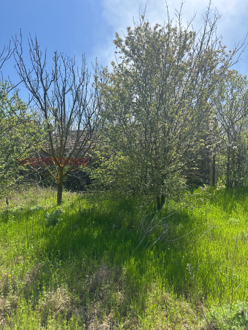 For Sale  House region Dobrich , Balgarevo , 70 sq.m | 82435784 - image [4]